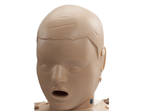 Head Assembly for the Prestan Professional Child Manikin 