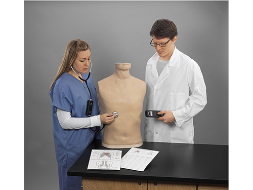 Life/form® Auscultation Trainer and Smartscope™