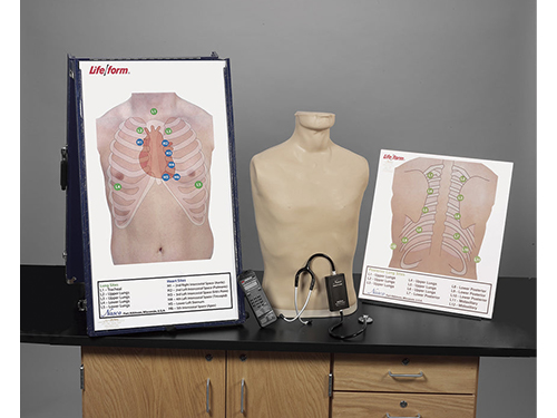 Deluxe Life/form®Auscultation Training Station