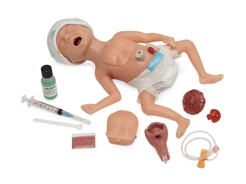 Life/form® Micro-Preemie Simulator