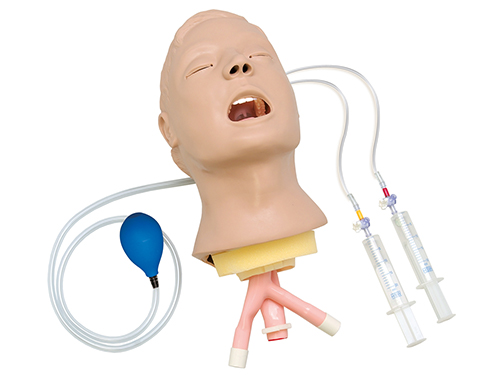Life/form® Advanced 'Airway Larry' Trainer Head
