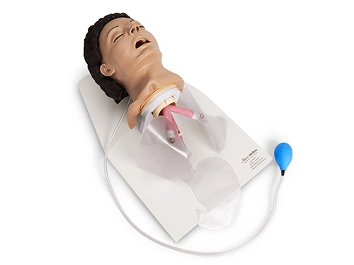 Life/form® Adult Airway Management Trainer with Stand