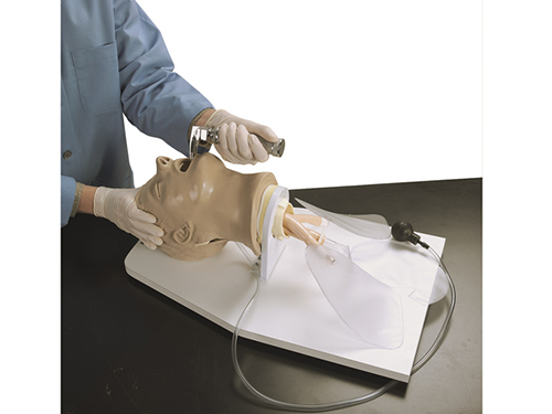 'Airway Larry' Adult Airway Management Trainer with Stand