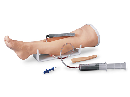 Life/form® Adult Intraosseous Infusion Simulator