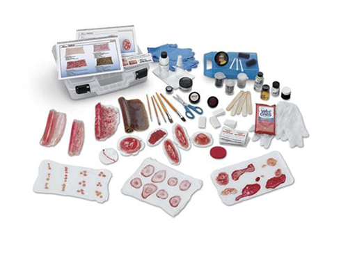 Life/form® Advanced Nursing Wound Simulation Kit